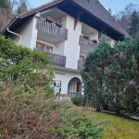 Triberg Falls Hideaway - 35 Apartment