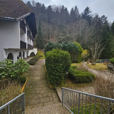 Triberg Falls Hideaway - 35 Apartment *