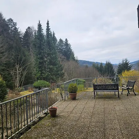 Triberg Falls Hideaway - 35