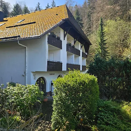 Triberg Falls Hideaway - 35 *