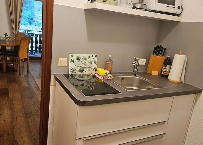 Apartamento Triberg Falls Hideaway - 35 *